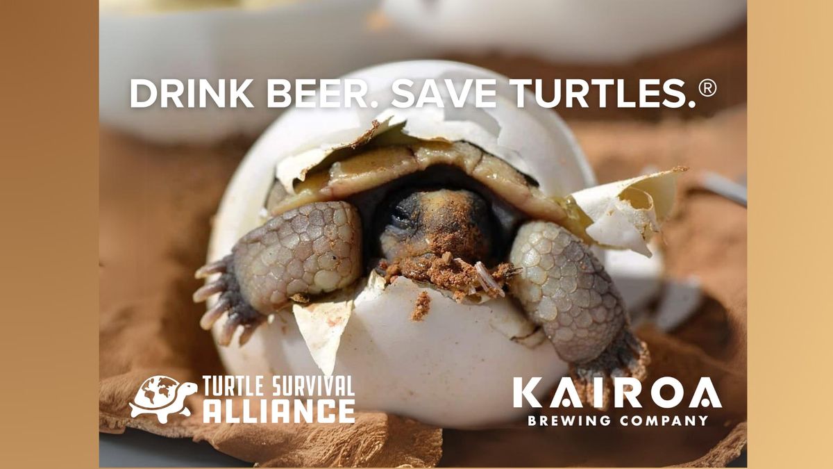 2nd Annual Drink Beer. Save Turtles.\u00ae in San Diego at Kairoa Brewing