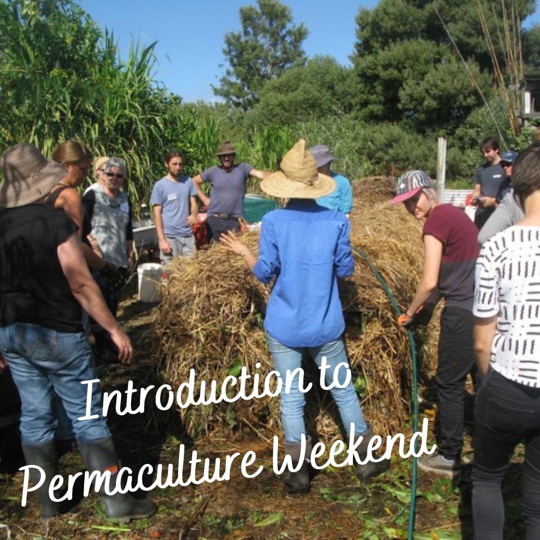 introduction to permaculture week end