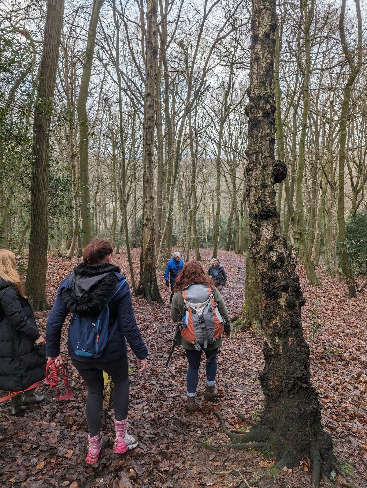 Beat the January Blues Walk