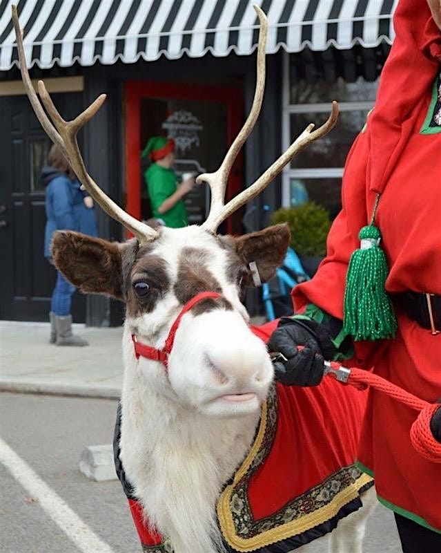 LIVE Reindeer at Chick-fil_A