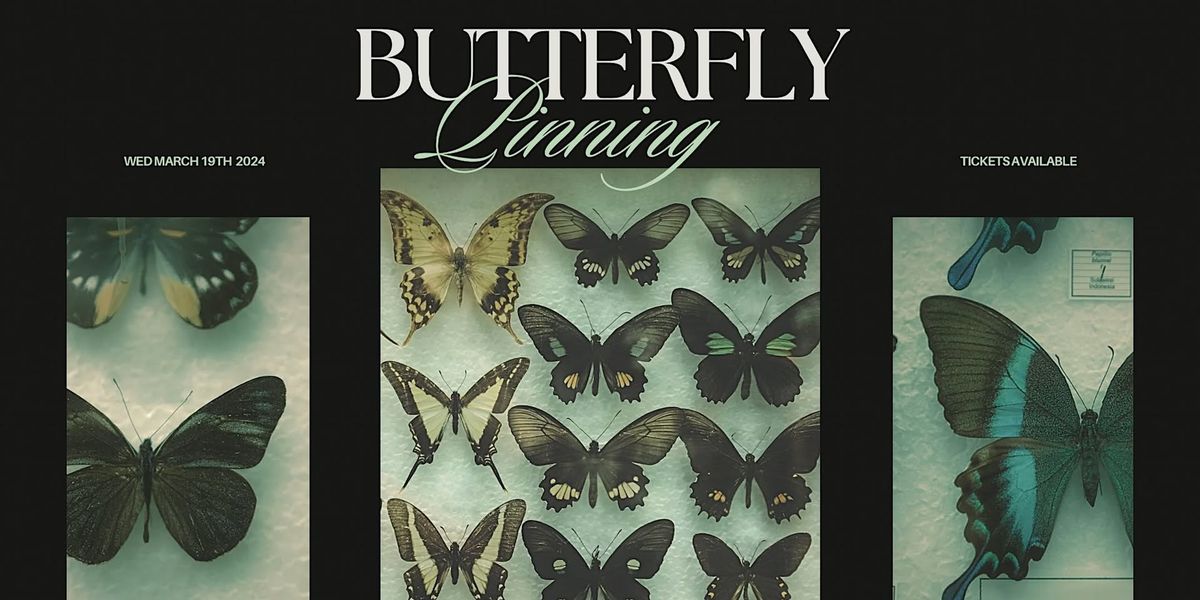 Butterfly Pinning Workshop