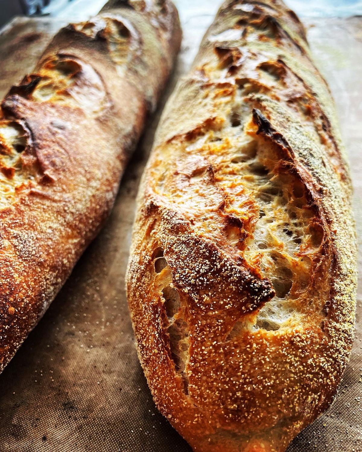 Sourdough baguette making workshop 