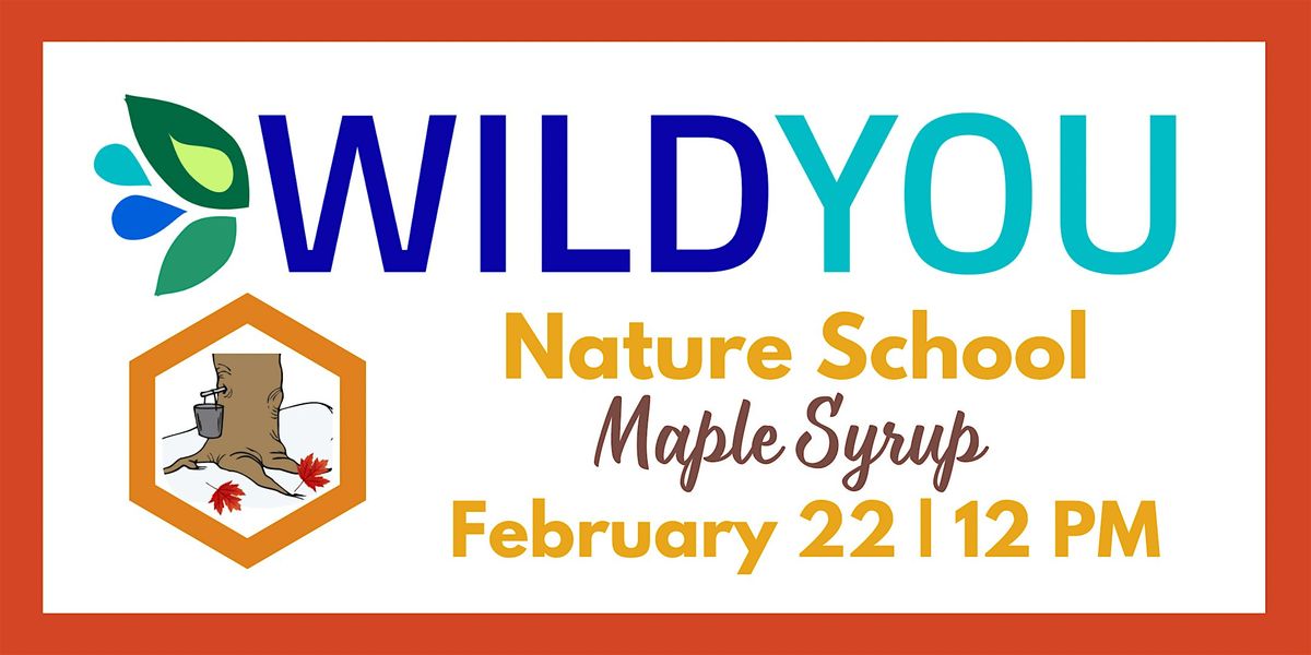 Nature School: Maple Syrup