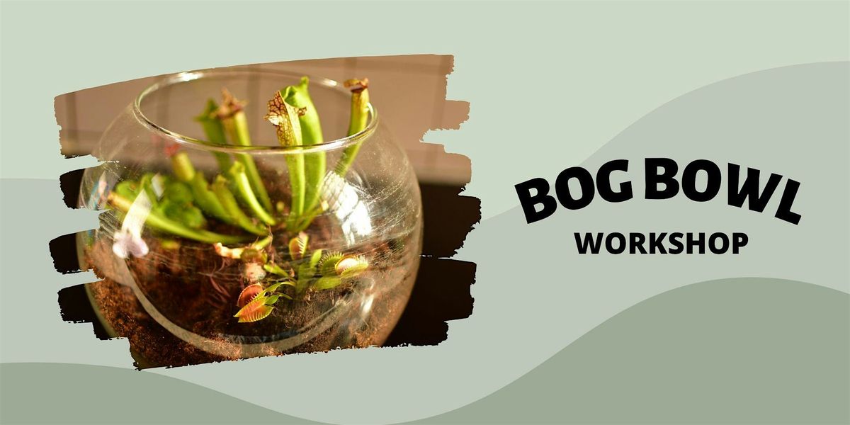 Bog Bowl Workshop