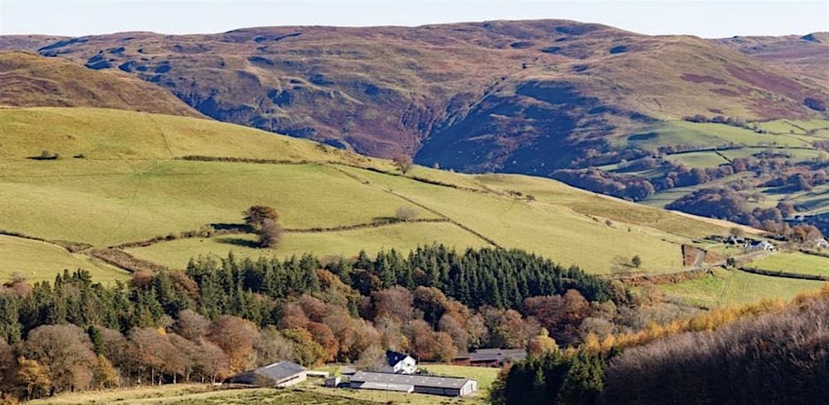 Shared values and management pathways for upland Welsh peatlands