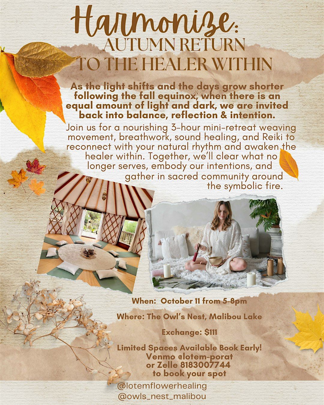 Harmonize: Autumn Return to the Healer Within