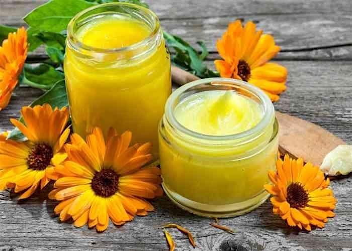 Herb Class ~ Using Herbs to Make Lotions & Body Scrubs for Healing