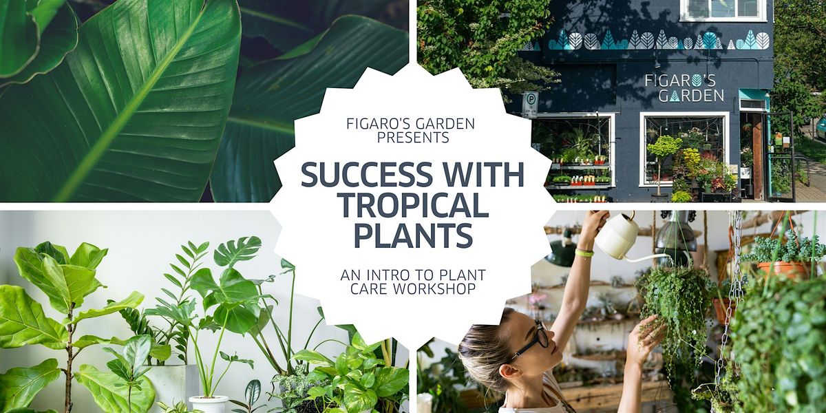 Success with Tropical Plants