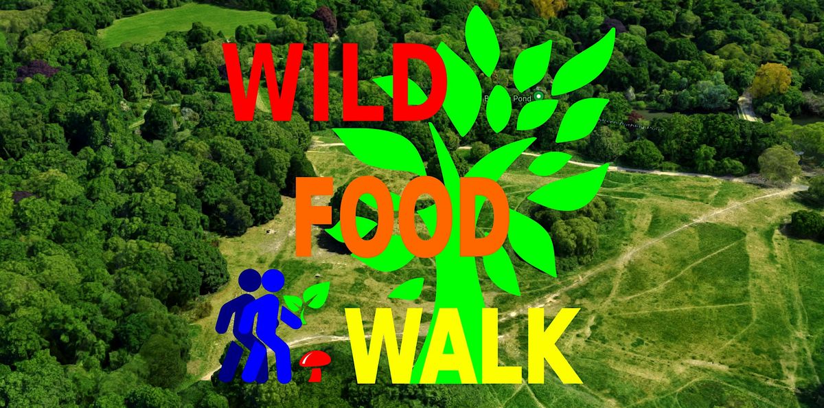 November Hampstead Heath (London) Wild Food Foraging\/ Foragers Walk.
