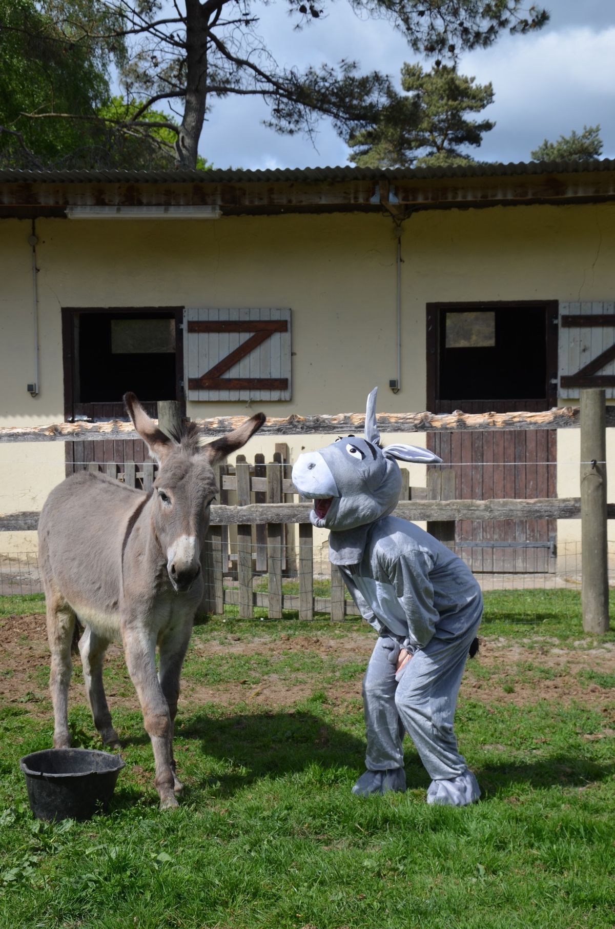 Printemps \u00e0 la ferme 2025