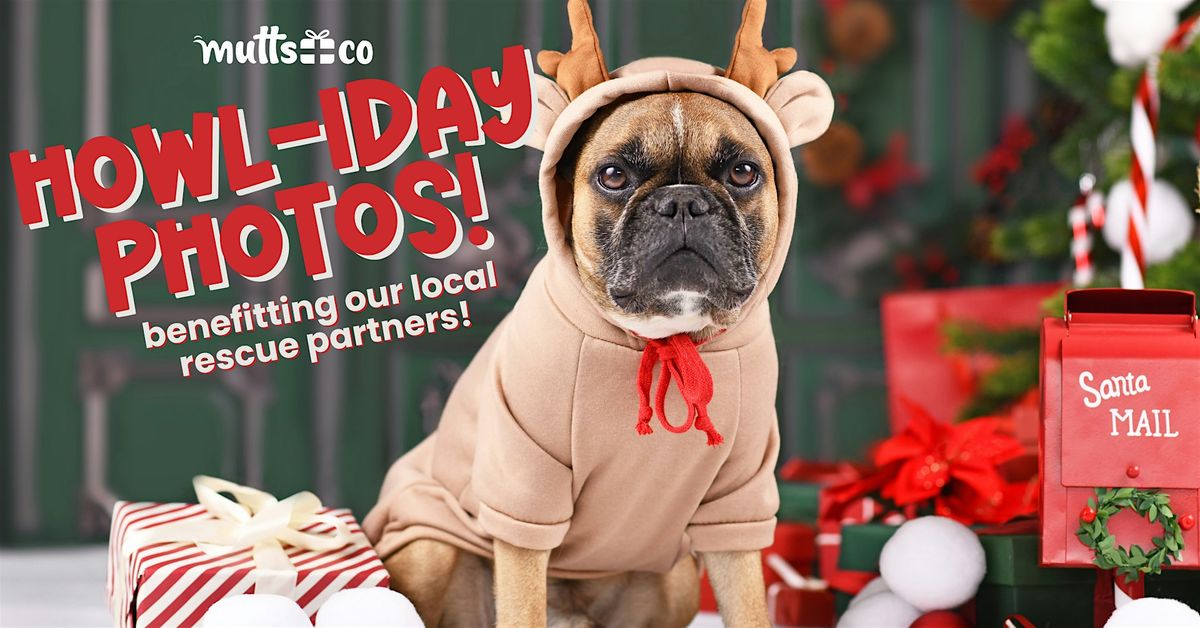 Howl-iday Photos Benefiting PAWS! (Dublin)