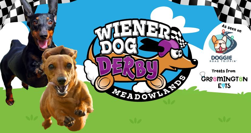 Meadowlands Racetrack Wiener Dog Derby