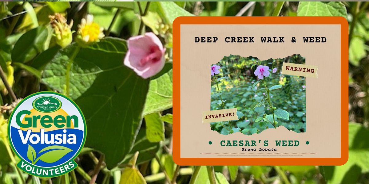 Volunteer Walk and W**d at Deep Creek Preserve