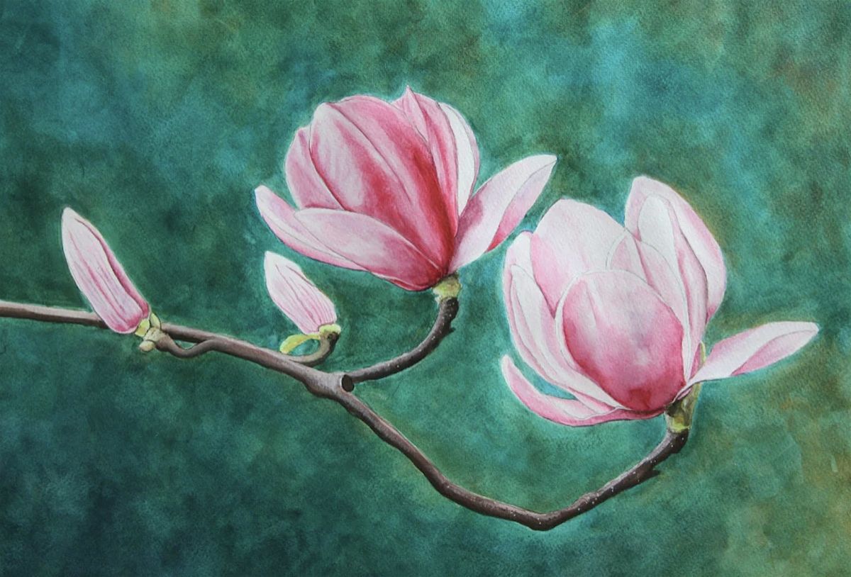 WINE AND WATERCOLOR - MAGNOLIA