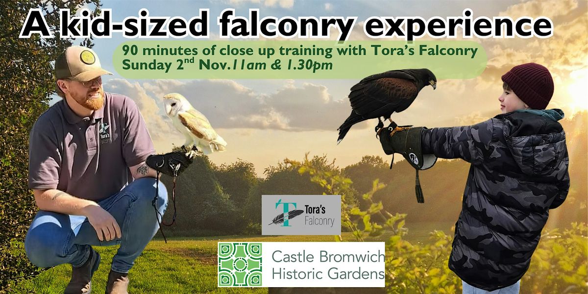 Junior Falconry experience