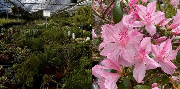 Folsom Fall Garden Festival