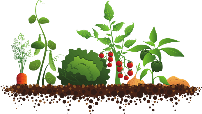 2025 Healthy Living\/Garden Club
