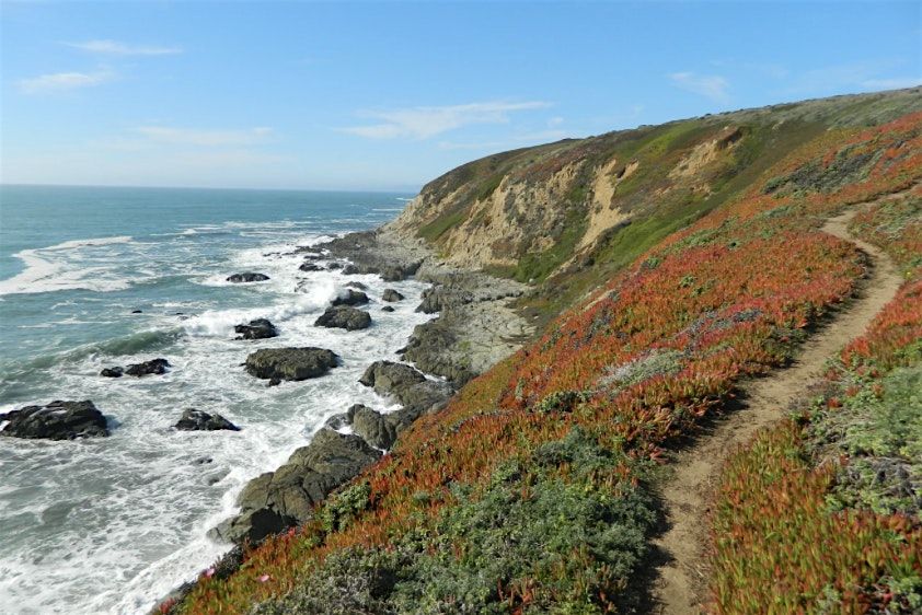 Beach Yoga Hike (Bodega Bay Trailhead, Sonoma Coast)