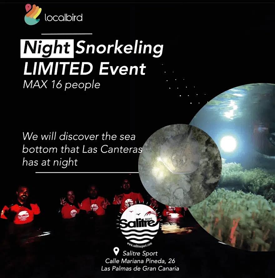 Night Snorkeling experience