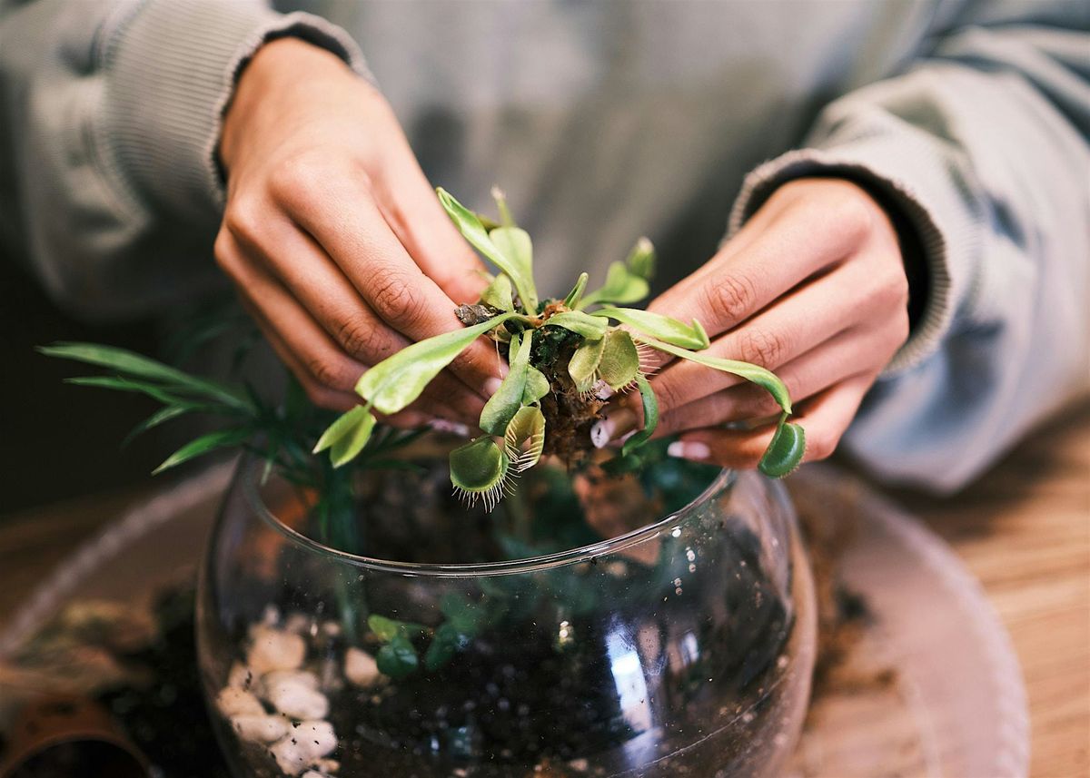 Terrarium Workshop at green neighbor