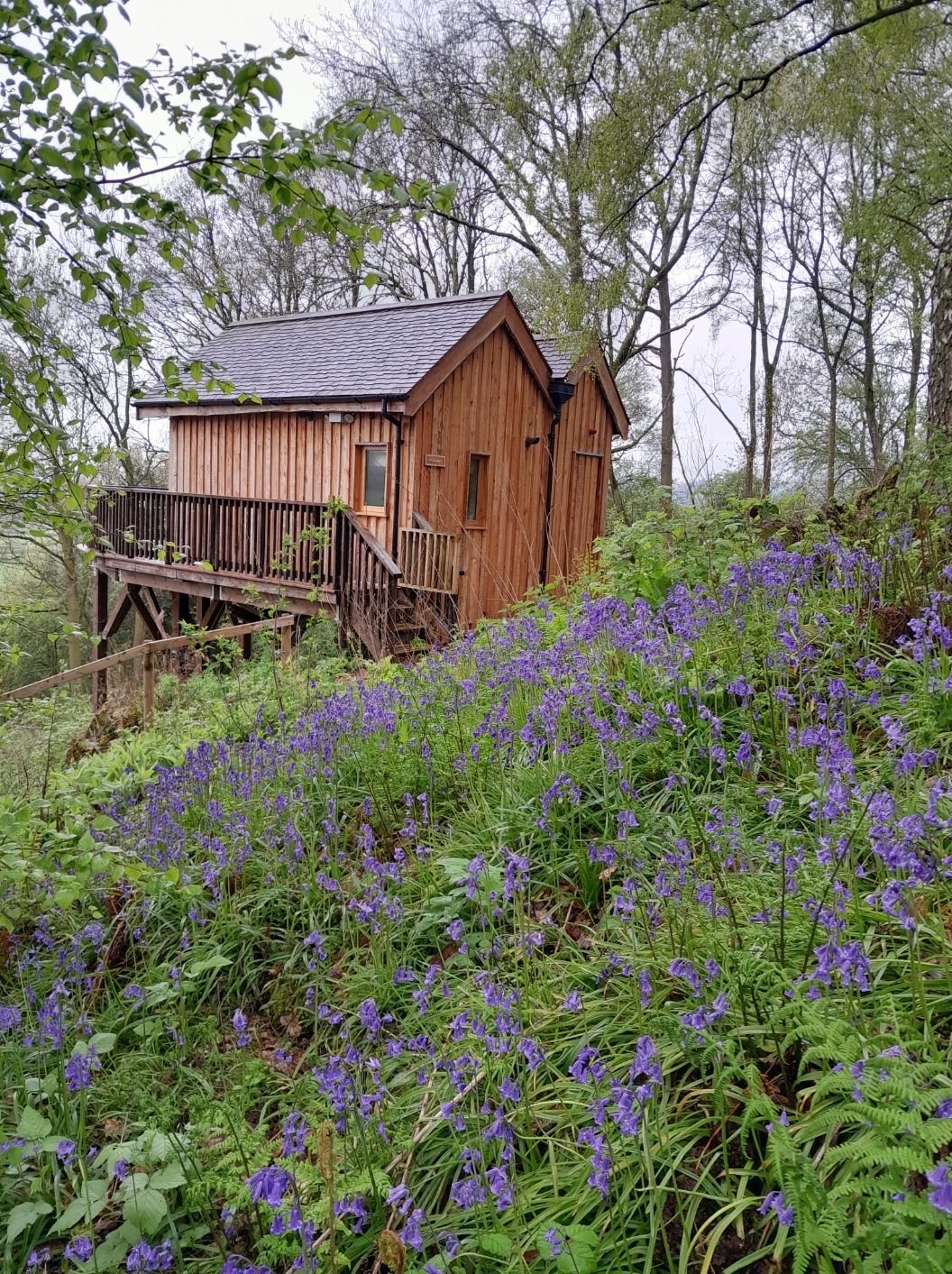 Juice Cleanse Retreat at Callow Hall, Derbyshire