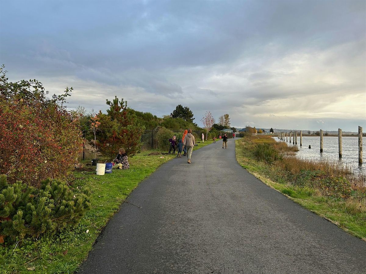 Tree Planting on Waterfront Trail