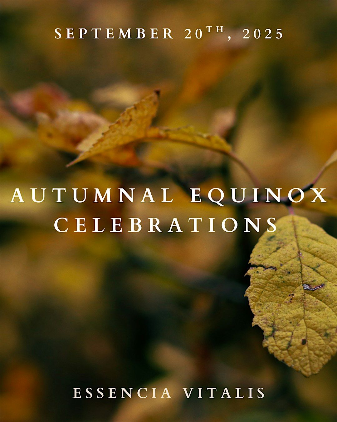 Autumnal Equinox Celebration