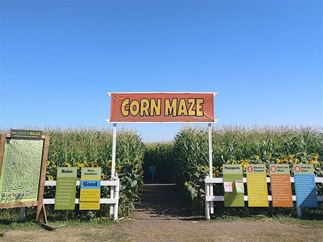 NGM Field Trip: Edmonton Corn Maze