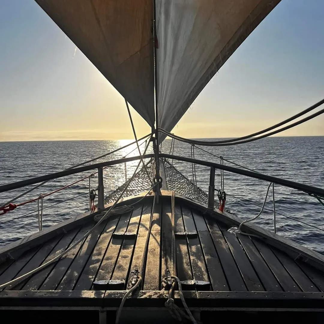 Rosslyn Bay Day Sail