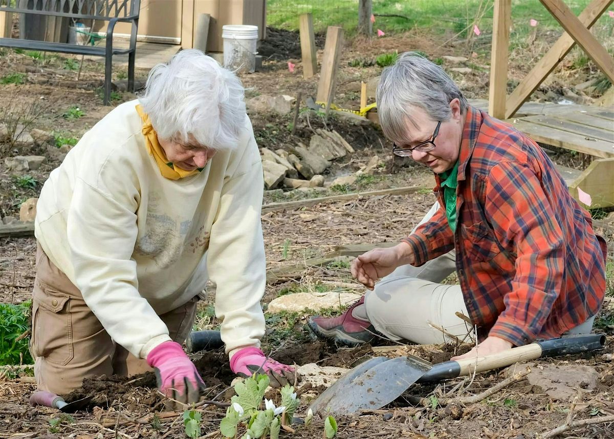 AgriAbility in the Garden: Tools & Tips to continue to garden as we age