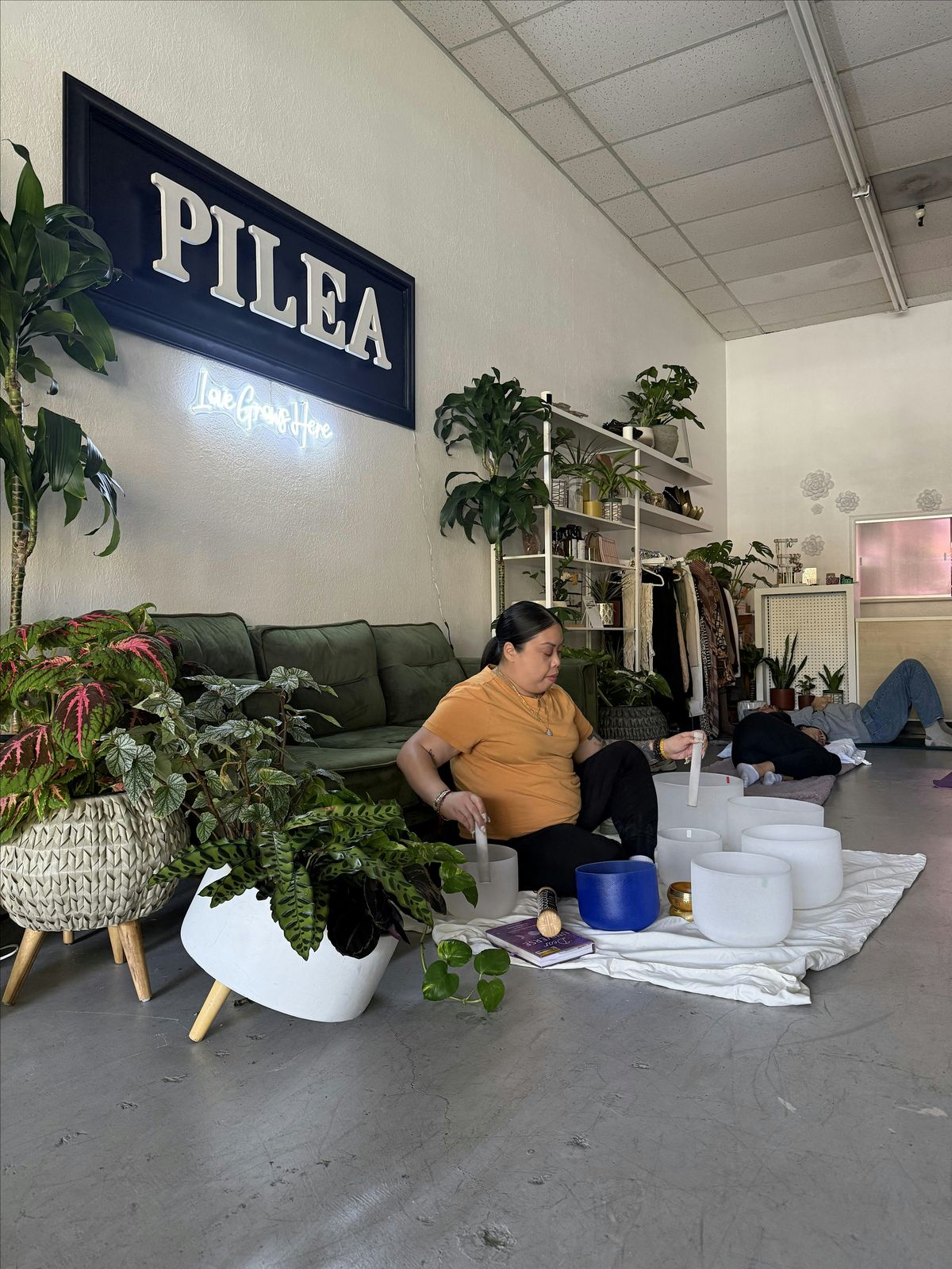 Sound Bath Renewal Experience in Hayward Plant Shop