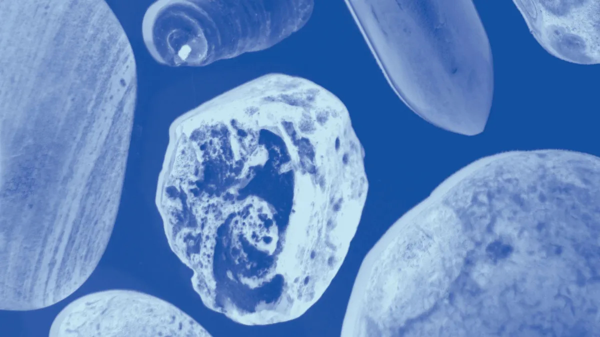 NYC Winter Jazzfest 2026 in City of New York