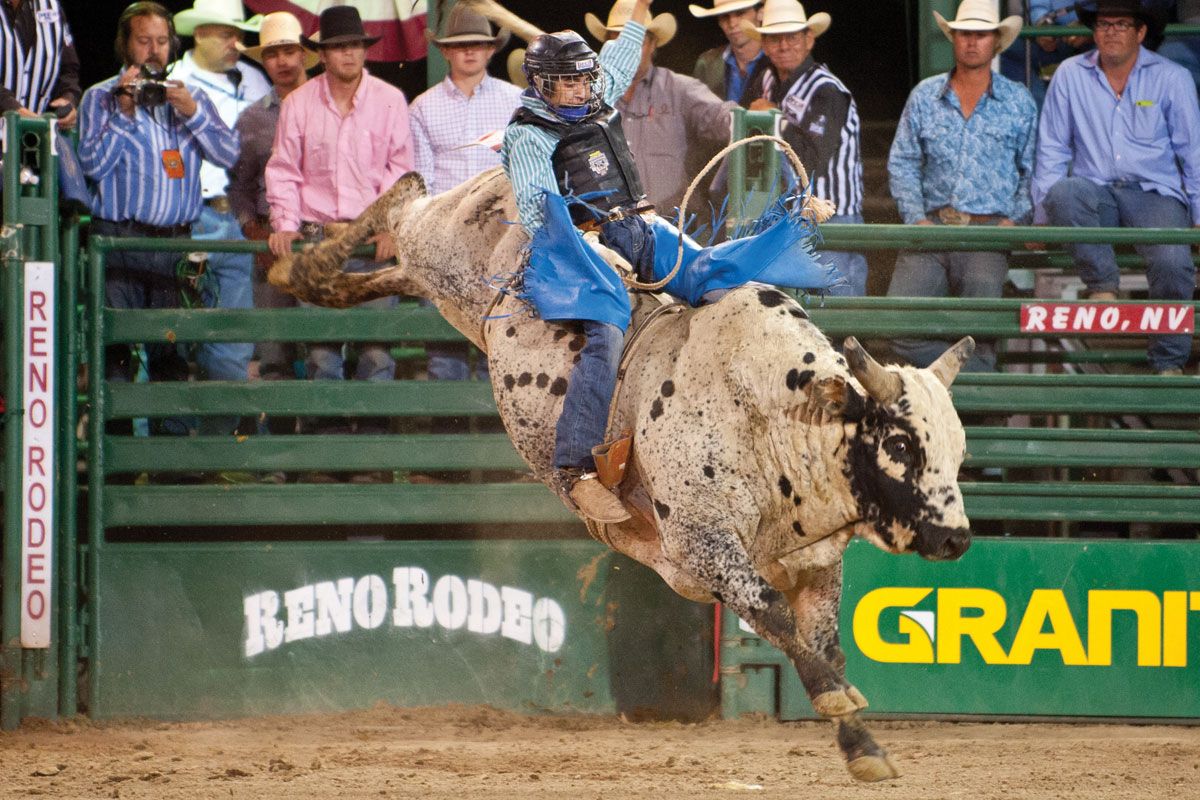 Reno Rodeo - Xtreme Bulls at Reno-Sparks Convention Center