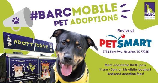 petsmart bunker hill