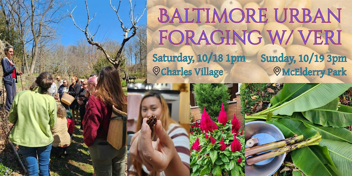 Baltimore Urban Foraging Walk in Charles Village area