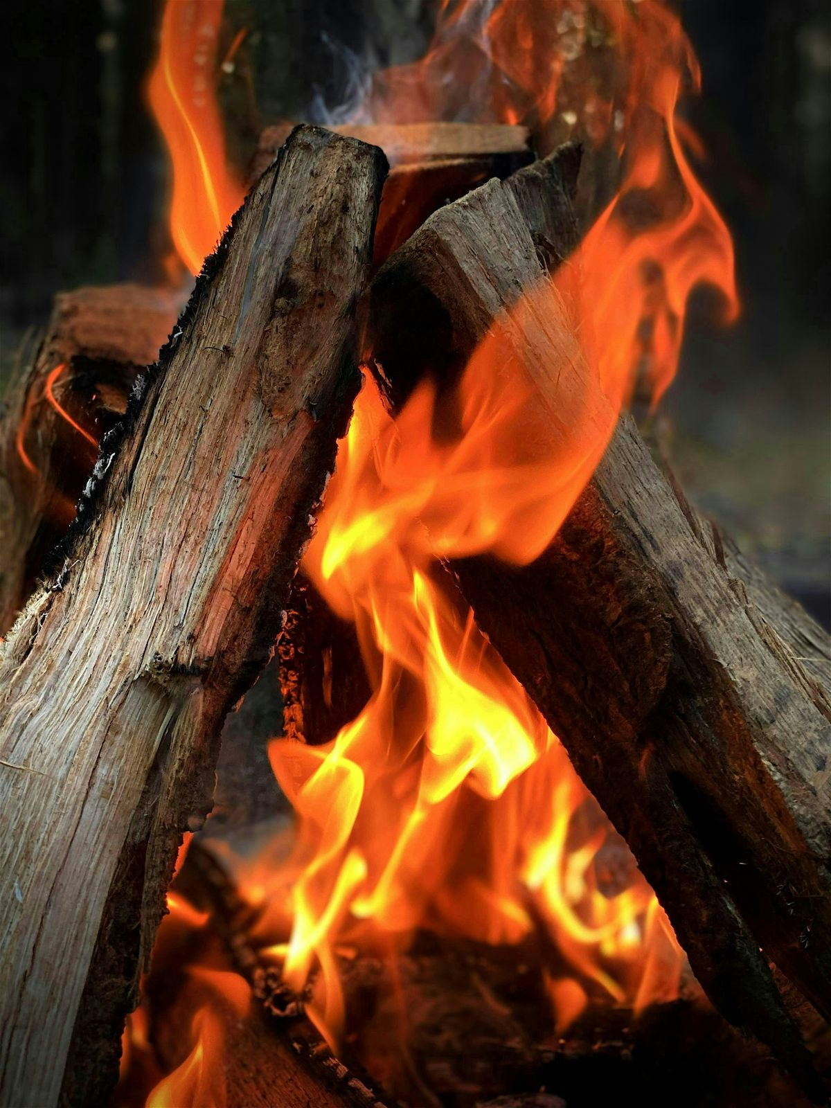 An Herbalist's Guide to Scottish Beltane