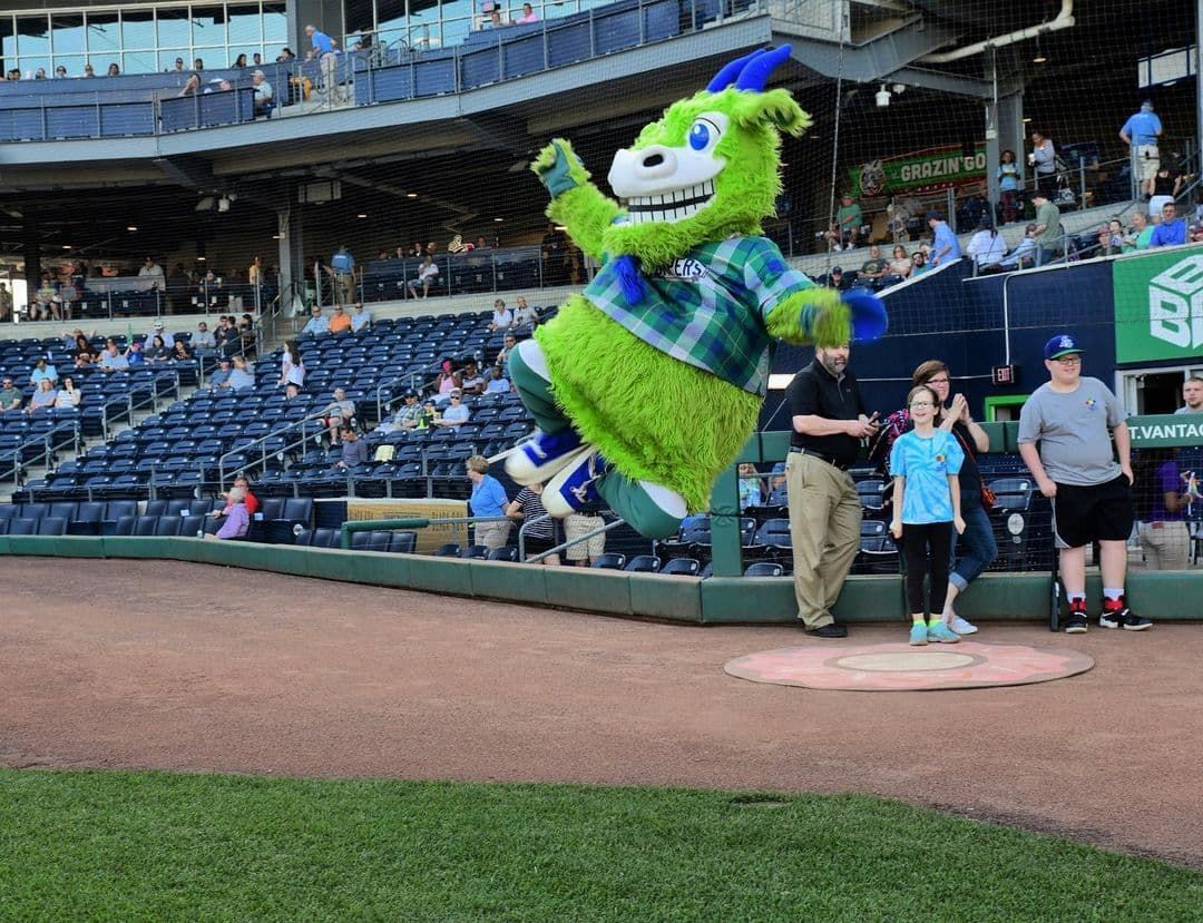 New Hampshire Fisher Cats vs. Hartford Yard Goats