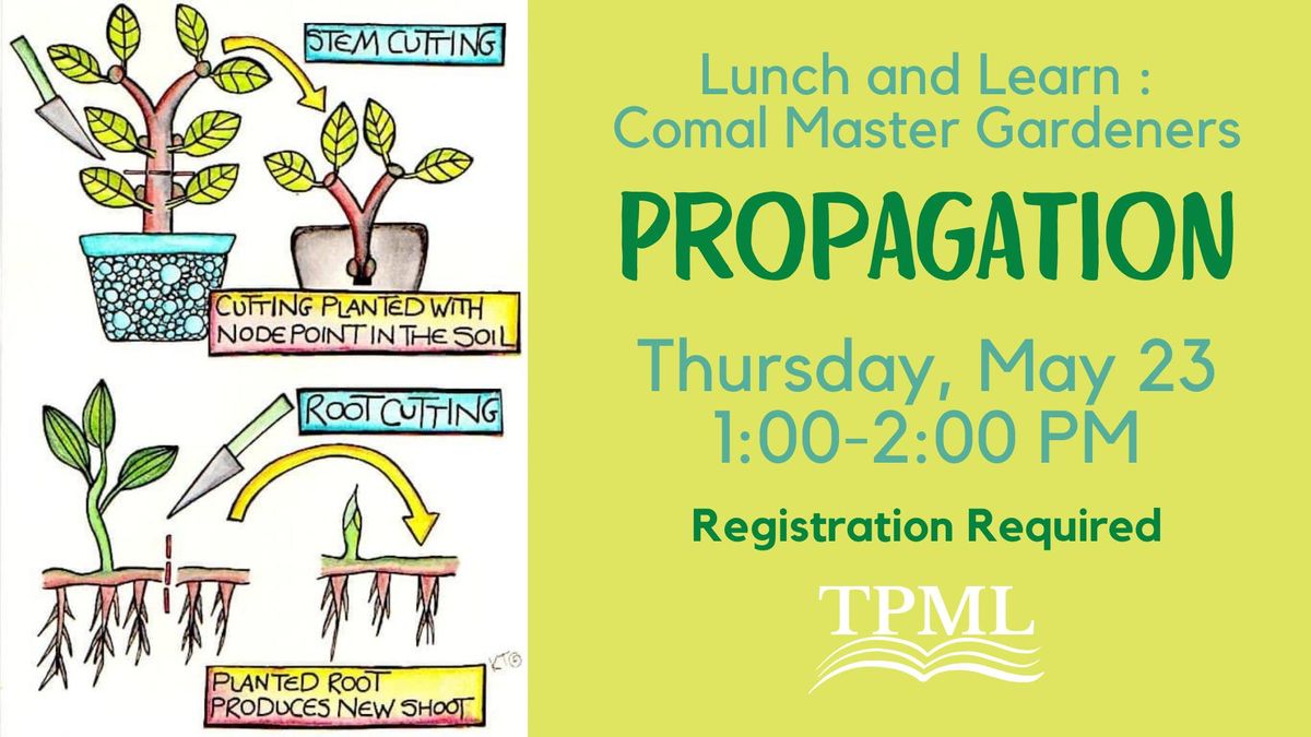 Lunch and Learn: Propagation with the Comal Master Gardeners