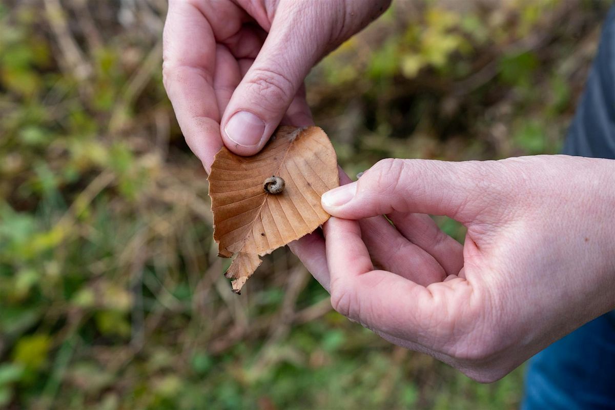 Nature Observation in the Eco-Corridor