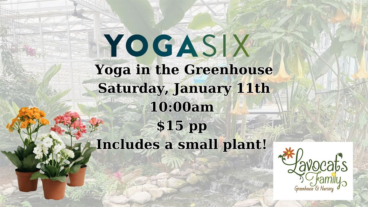 Yoga in the Greenhouse