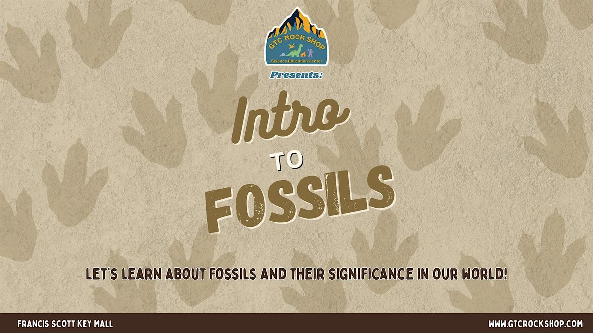 Introduction to Fossils
