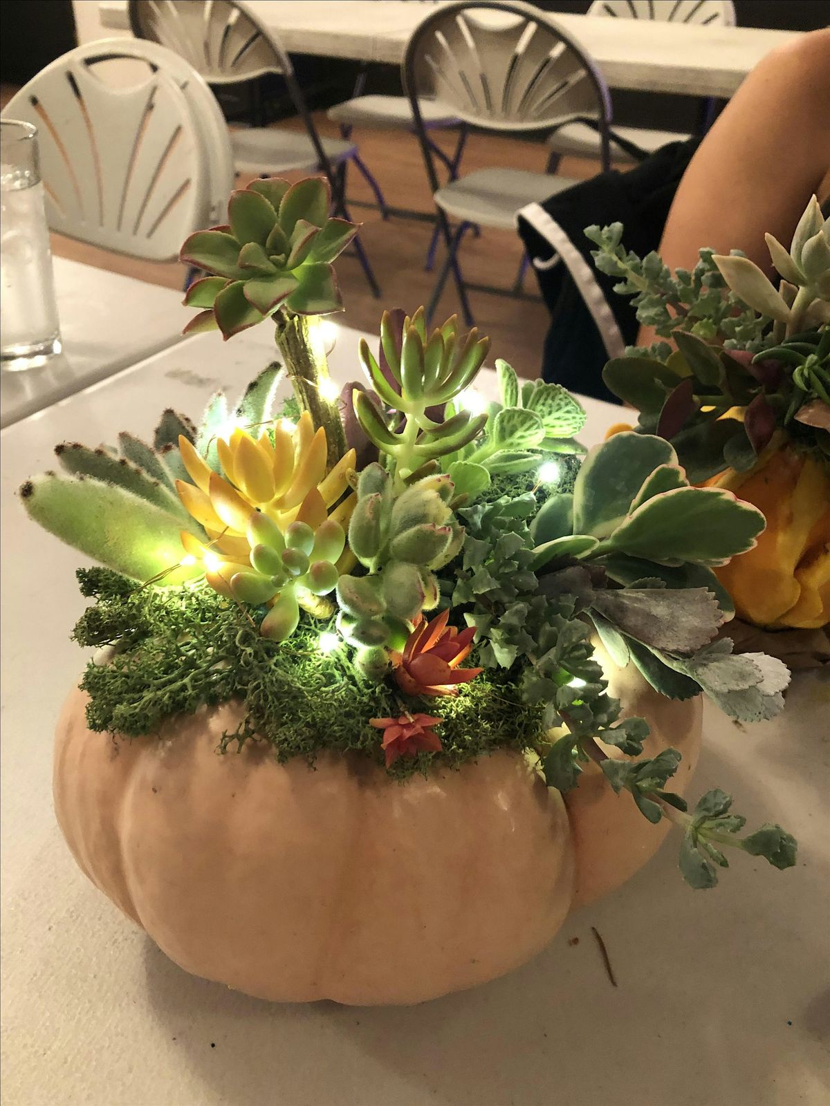 Make Thanksgiving Succulent Pumpkins