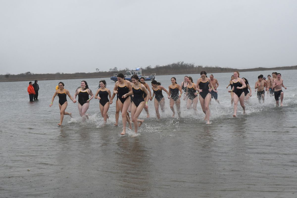 Town of Oyster Bay Polar Plunge