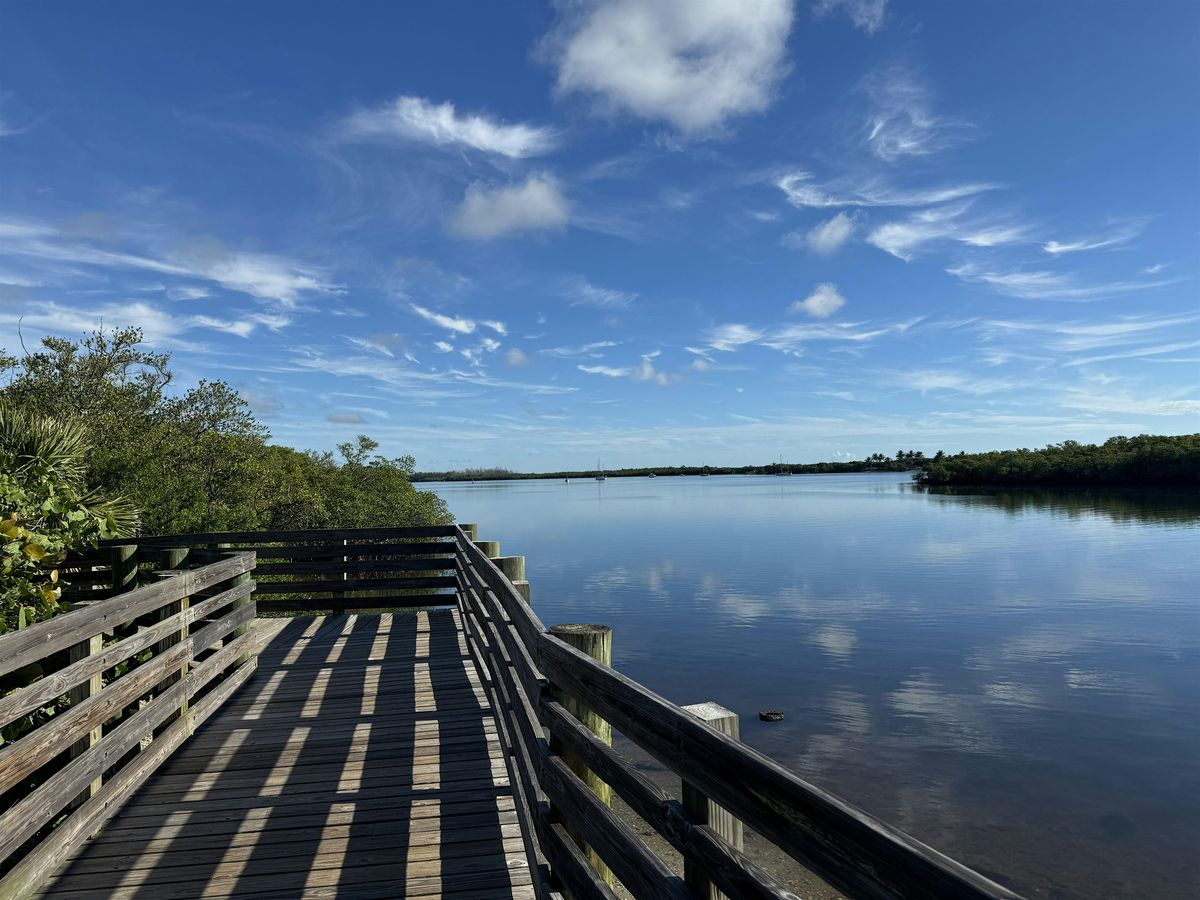 Magnificent Mangroves Nature Walk