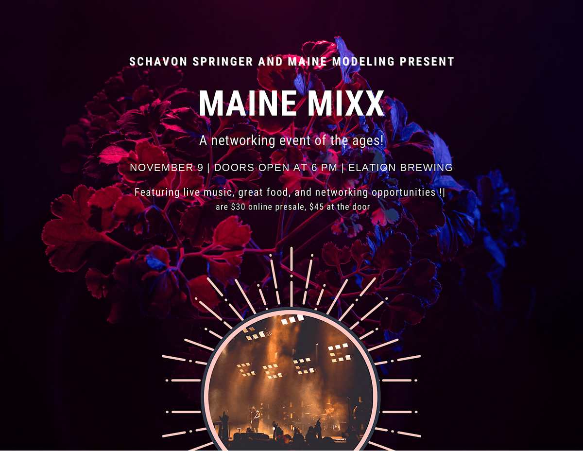 Maine MIXX : A Networking Mixer