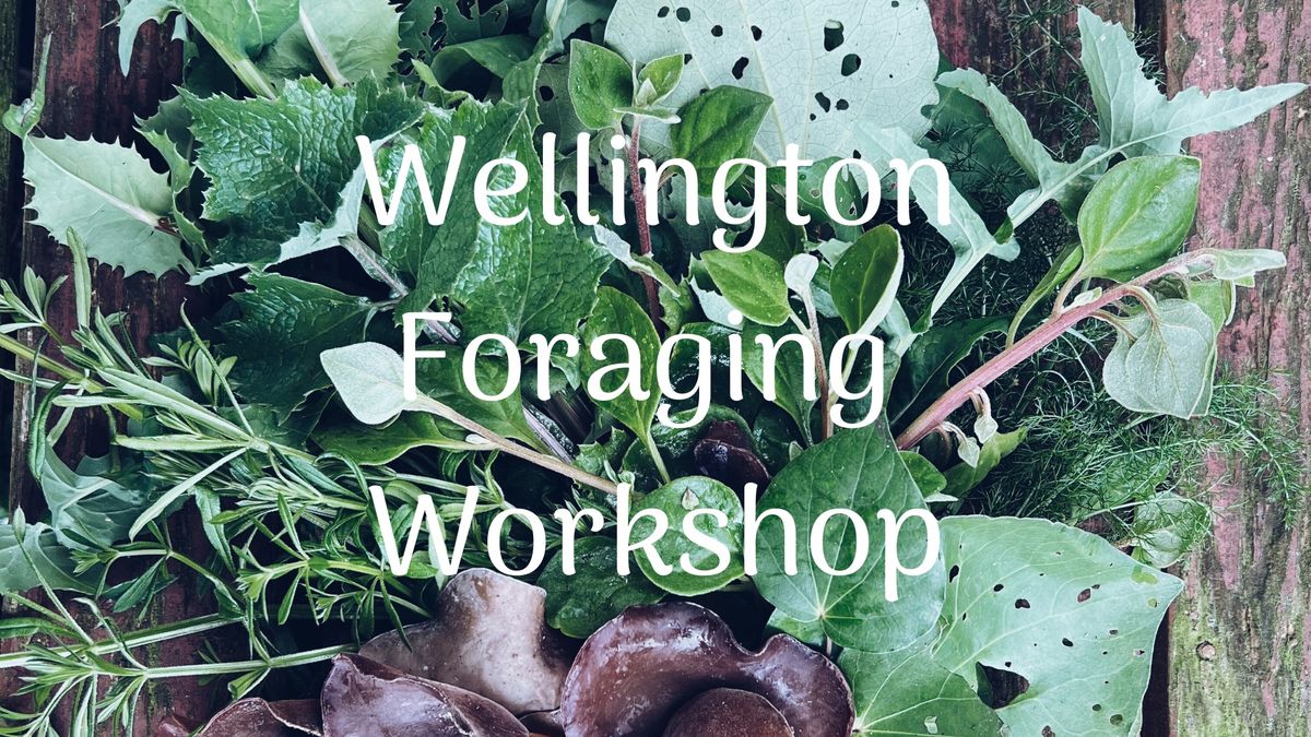 Wellington Foraging Workshop 26th May