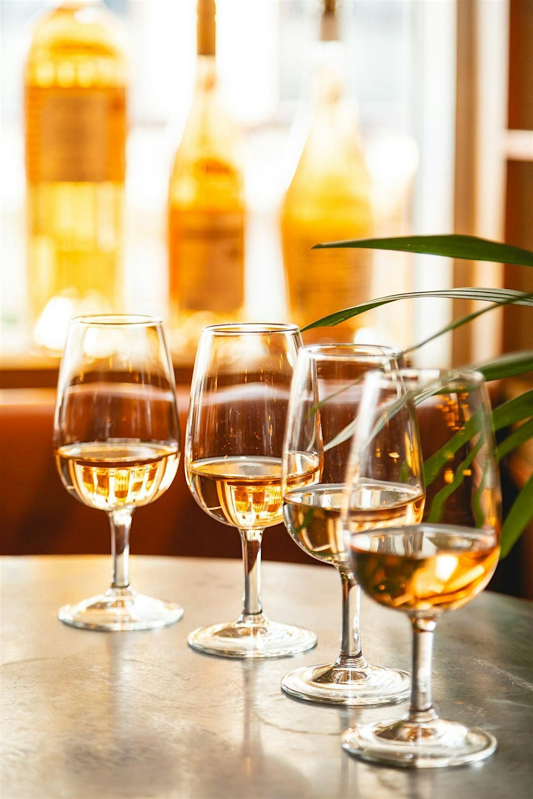 Wine 1-0-1: Blind Wine Tasting