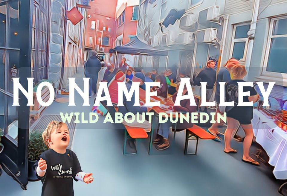 No Name Alley \u2013 Wild About Dunedin