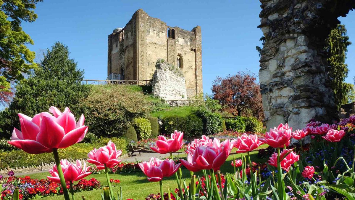 Guildford Castle & The North Downs - Sat 06 Sep 2025