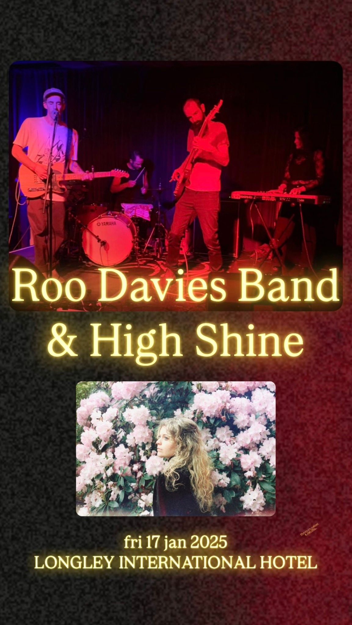 Roo Davies Band & High Shine \u2728 fri 17 jan 2025 Longley Int. Hotel